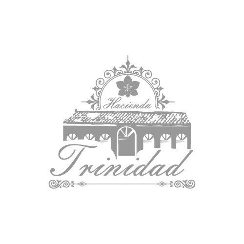 Proyecto de decoracion para Hacienda Trinidad por SZO Estudio Creativo